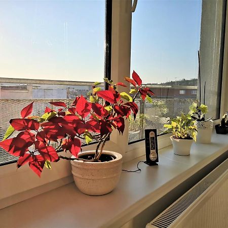 New Apartment With Garage Parking Brno Esterno foto
