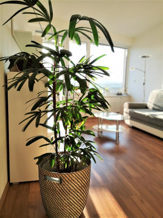 New Apartment With Garage Parking Brno Esterno foto